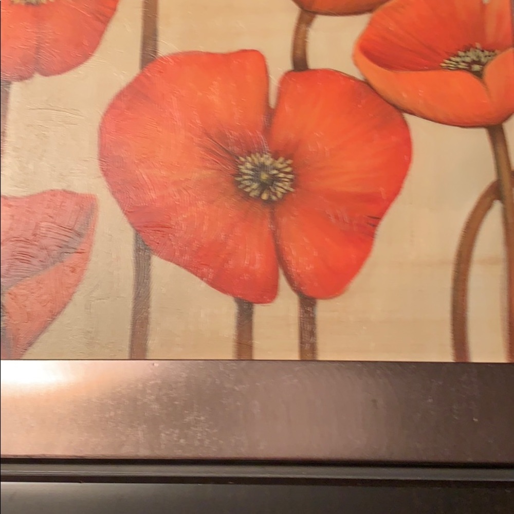 Beautiful Poppy Picture, looks fantastic anywhere! - Picture 2 of 4
